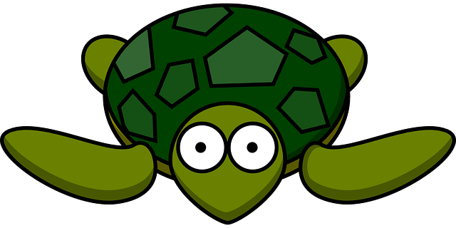 Image Credit https://pixabay.com/en/turtle-green-shell-tortoise-animal-297662/